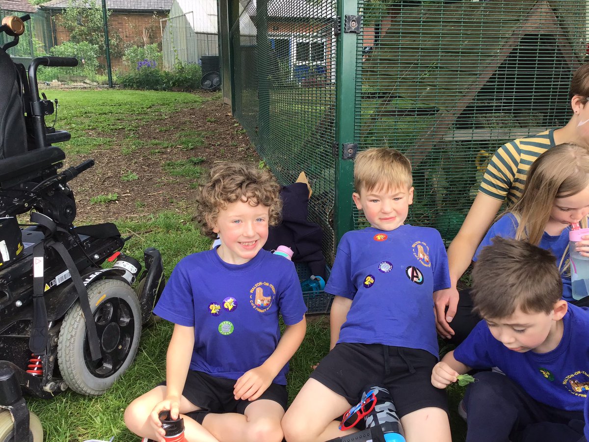 MrsST6's tweet photo. Just a bit of Sports Day spam for you all! The Hedgehogs did amazingly and we had lots of smiling faces throughout! @walton_primary #spotsday https://t.co/z4RGXArF9r