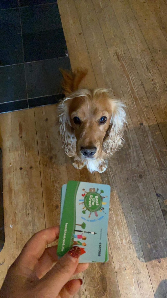 Justinemclayton's tweet photo. Barney even knows what the #BeatTheStreet cards mean now! #walkies #worndogout @SASPsomerset #thisdogcan https://t.co/HfEgOku9Jr