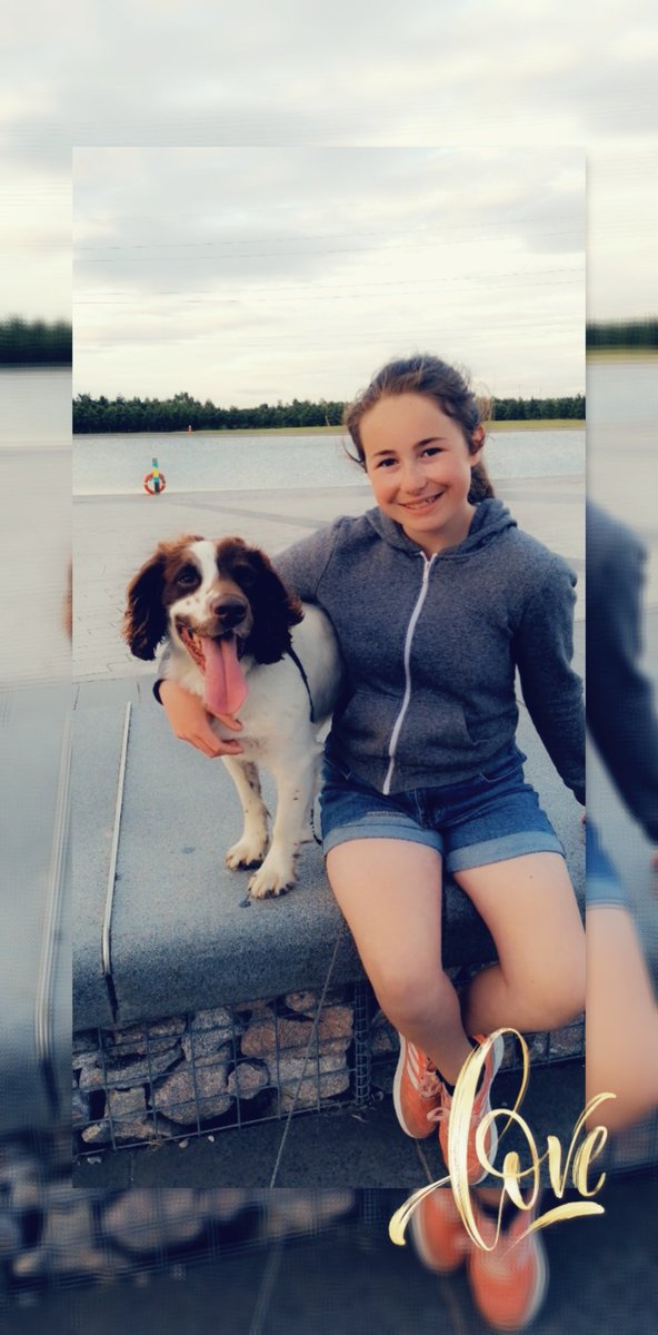 One whole month of loving Flash!! 💙 ❤️ 🐾 #sprocker #rescue #ForeverHome #family #pet