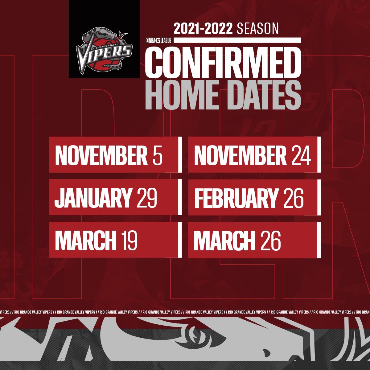 RGVVipers's tweet photo. 604 days too long! Back at it November 2021! Mark your calendars, save the date, set an alarm do what you gotta do! See in November! 🙌🐍

Ticket links coming soon. 
https://t.co/n9MqLAjl19

 #RGVVipers #NBAGLeague https://t.co/PfX0za0WO3