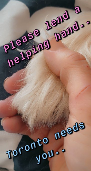 Hi everyone, The effects of COVID have added some additional strain to our homeless population and I<a href="/tag/help"class="tags"><span>#help</span></a><a href="/tag/to"class="tags"><span>#to</span></a>