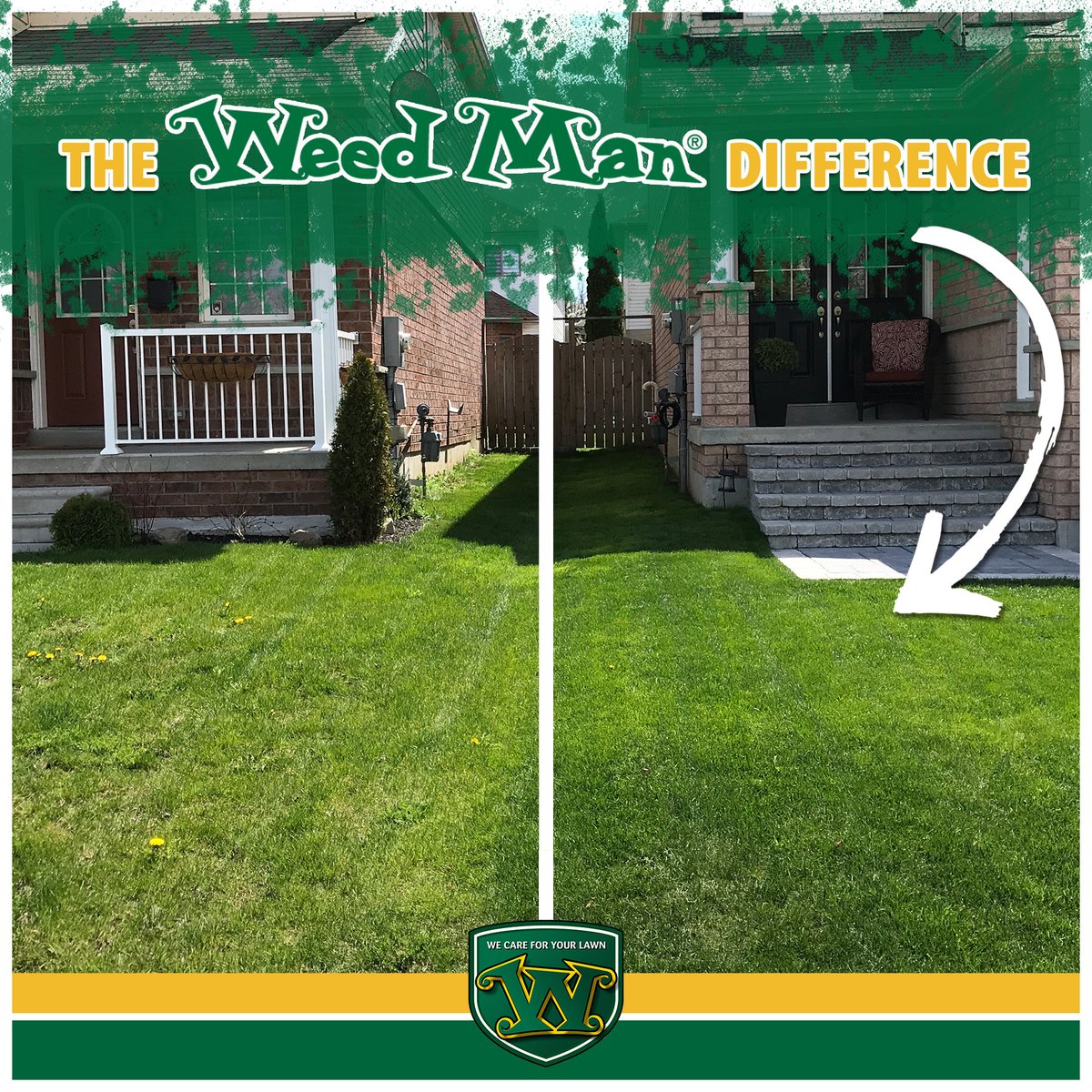 Take in that 🔥 Weed Man before and after photo! So gorgeous. So green.