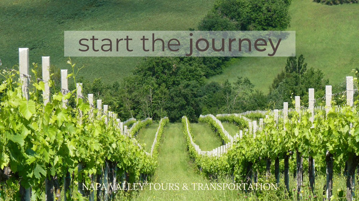 NVTTnet's tweet photo. Start your Journey to Napa Wine Country with luxury reliable transportation with Napa Valley Tours and Transportation. Let us help you curate the perfect experience in our valley. Call today 707-251-9463 #winetasting #winelover #napavalley https://t.co/jTh8H9iz9k