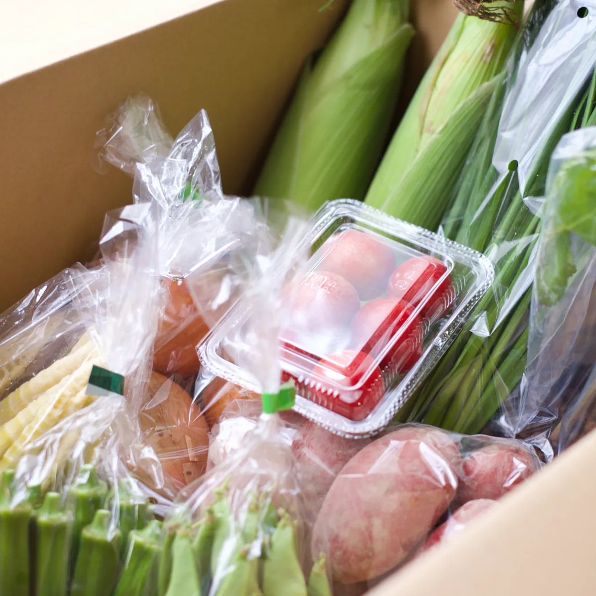 【今月発送したお野菜定期便】
とうもろこしやスモモ、オクラなど夏らしい野菜が増えてきました🌽