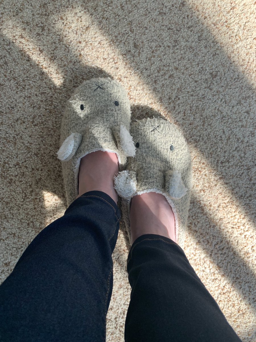 k8manfull's tweet photo. The busy hum of the office, the bubbles of laughter, music filling any available space; we never stopped working, just changed venues for 15 months. It felt good to be back. It also felt good to slip back into my slippers when I returned home. @Fierce_Creative ❤️ https://t.co/deF7h8ozeM