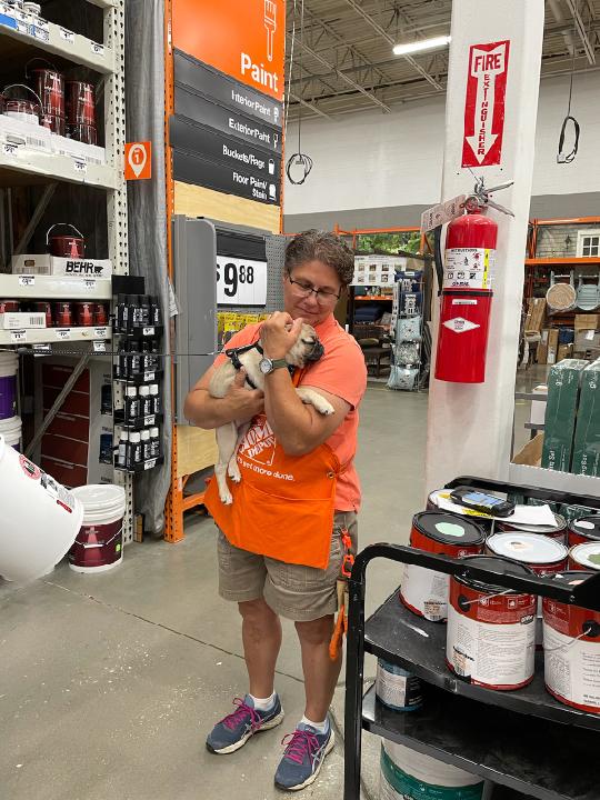 Jackie Folio tweet media