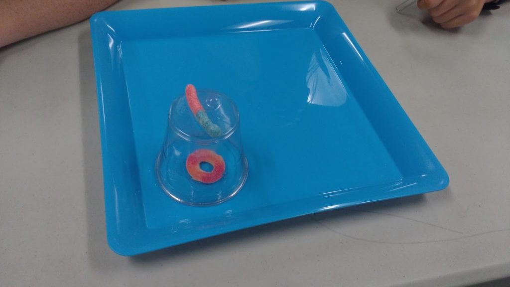 Sarah Carter tweet media