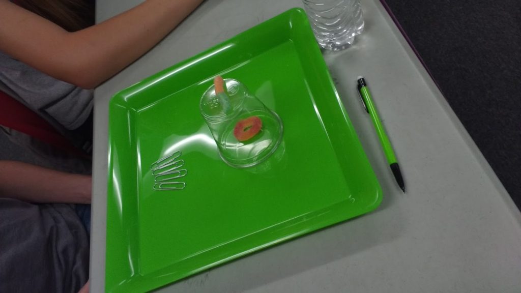 Sarah Carter tweet media