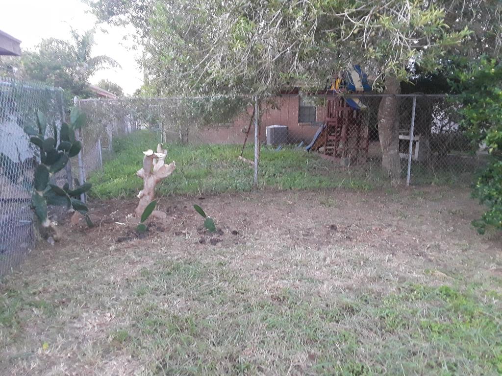 Equality4allplp's tweet photo. @oompaville Put anything in my backyard. https://t.co/Xkpm24Qav6