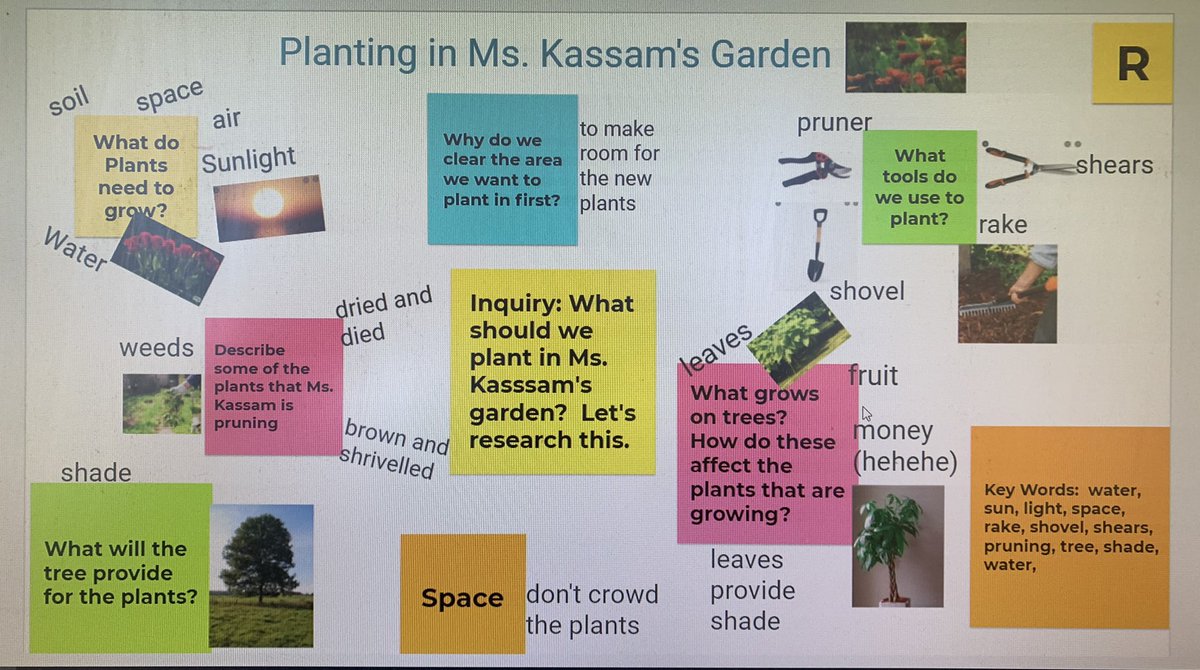 ISPs Room 125 and Room 110 helped Ms. Kassam with her gardening!!!