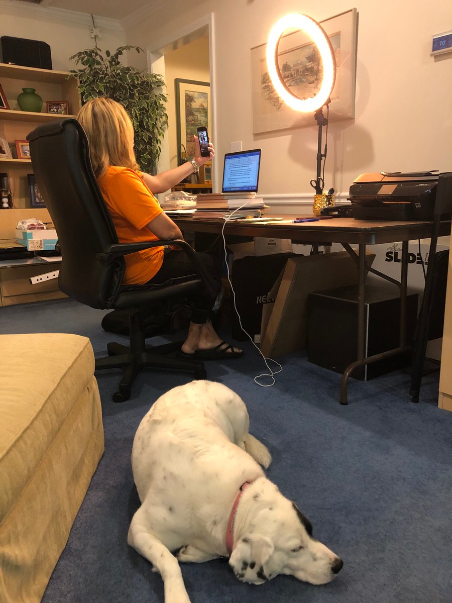 RepLucyMcBath's tweet photo. Our dog Harley has joined me for countless briefings, hearings, and events over the past year.

On #GMATakeYourDogToWorkDay, we celebrate all our furry family members who have joined us for work and we send our love to all the dogs joining their humans today and every day! https://t.co/BvMRbKfGJS
