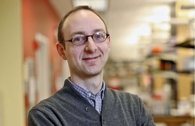 🔎 Drs. Marina Mapelli (<a href="/LabMapelli/">Mapelli Lab</a>) and Terry Lechler discuss how spindle orientation impacts tissue architecture in epithelia and its emerging links to the regulation of cell fate decisions.

📔 go.nature.com/3gNPOcz