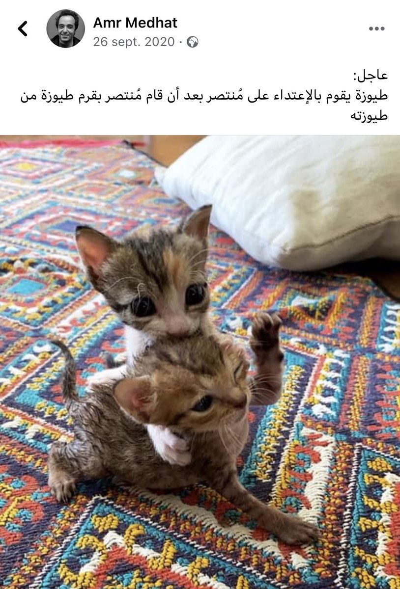 NEWEGYPTIANA's tweet photo. اعادة تدوير للمنشور ده عشان بحبه https://t.co/968gliN3y9