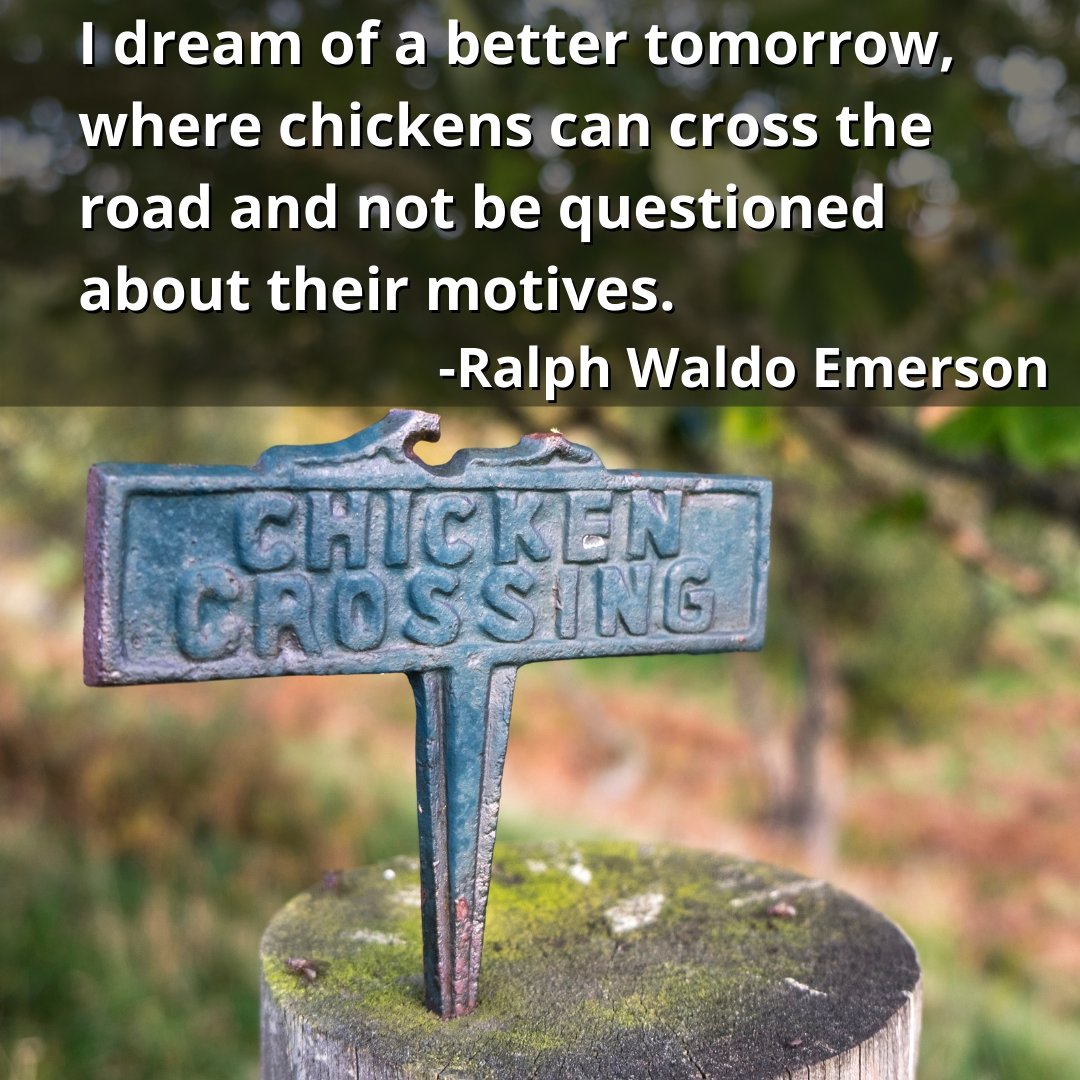 I dream of a better tomorrow, where chickens can cross the road and not be questioned about their motives. -Ralph Waldo Emerson

#Funny #Humor #InspirationalQuotes #Fantasy #FantasyBooks #Heroine #WarriorWomen #JLNicely #WisdomWednesday