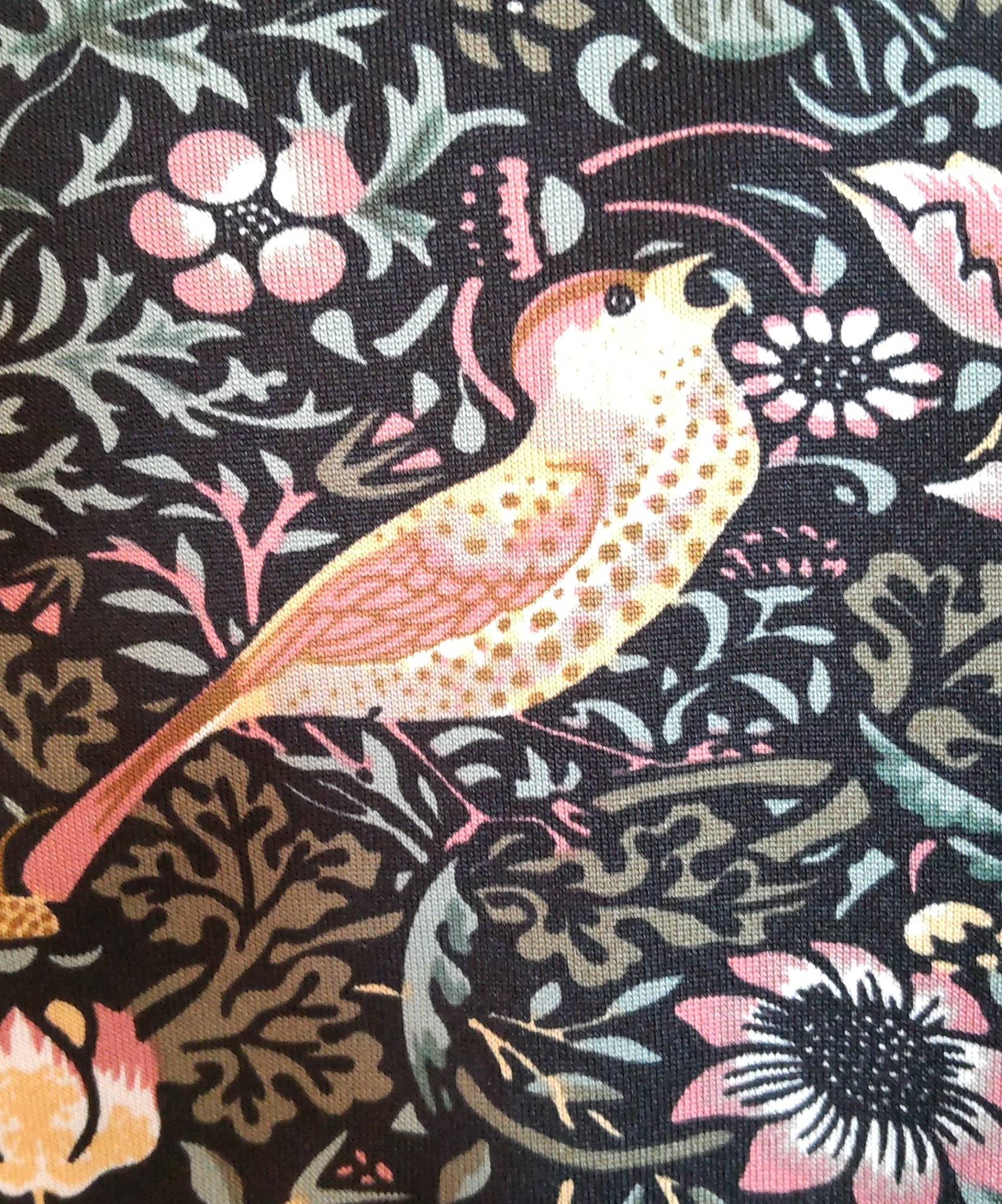 み フェリシモで頼んであった ウィリアム モリスの生地のｔシャツがきたよ モリスは小説が好きでその装丁が本人のデザインって知ってからさらに大好き 鳥さん良い顔してる 笑 T Co Hq1uh4rsu8 Twitter