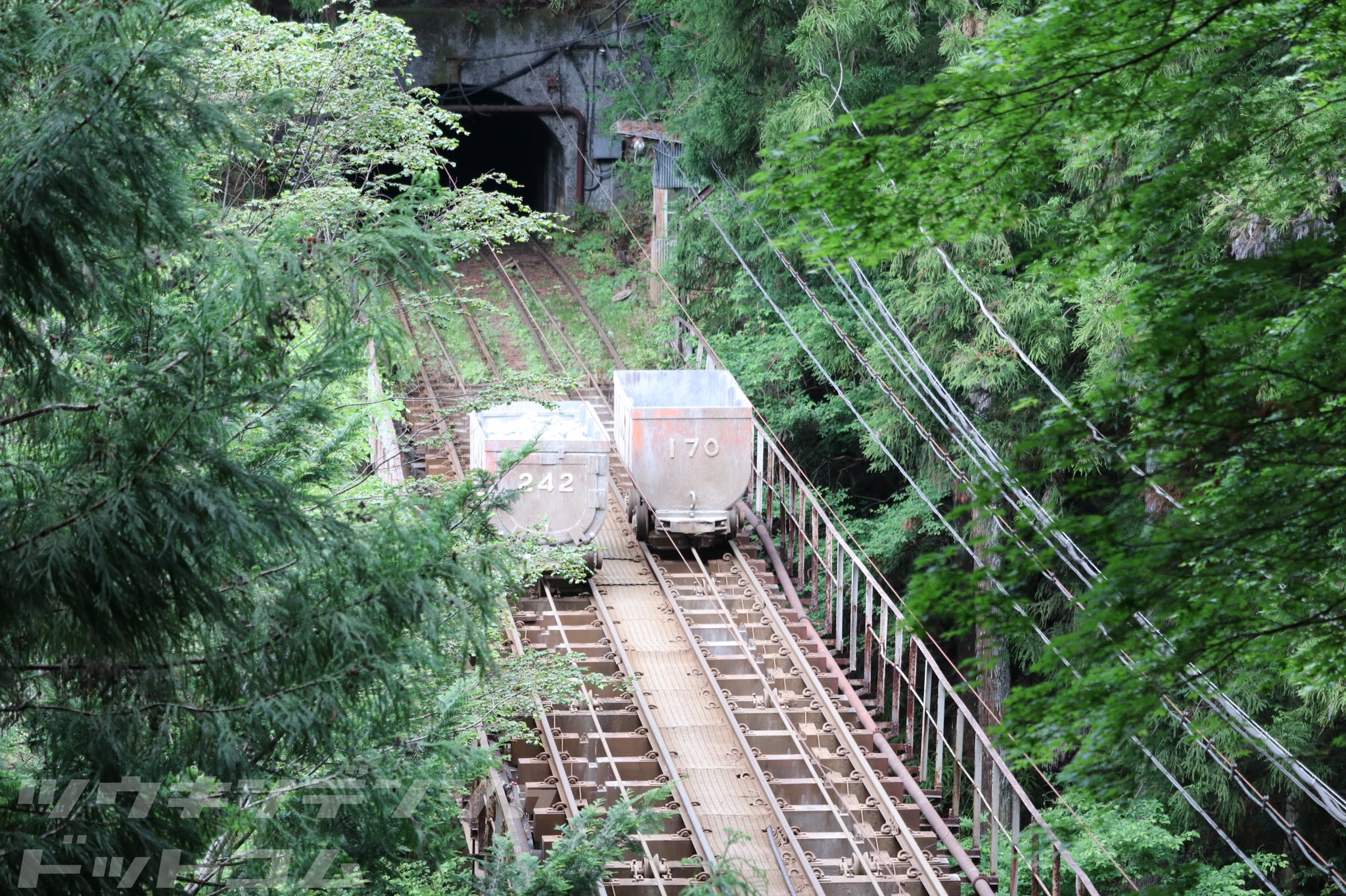 通勤電車ドットコム 話題 奥多摩の無人トロッコ 山奥に突如現れるトロッコ専用線 その名も奥多摩工業 曳鉄線 石灰採掘場から工場までを輸送していますが 無人の姿は何ともシュール ちなみに奥多摩工業は元々青梅線の一部区間を建設する目的で