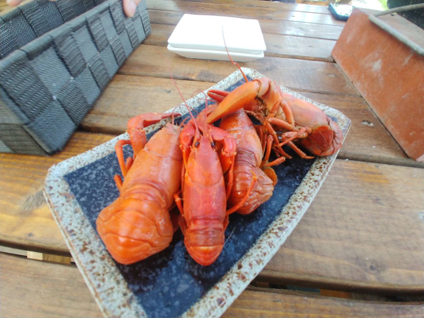 エタラカキモッペ ウチダザリガニうまうま 札幌市清田区 管理釣り場 藍鱗 T Co Krxsdgvcn9 釣り ザリガニ 外来種 食べる T Co Bt8lv9odxp Twitter