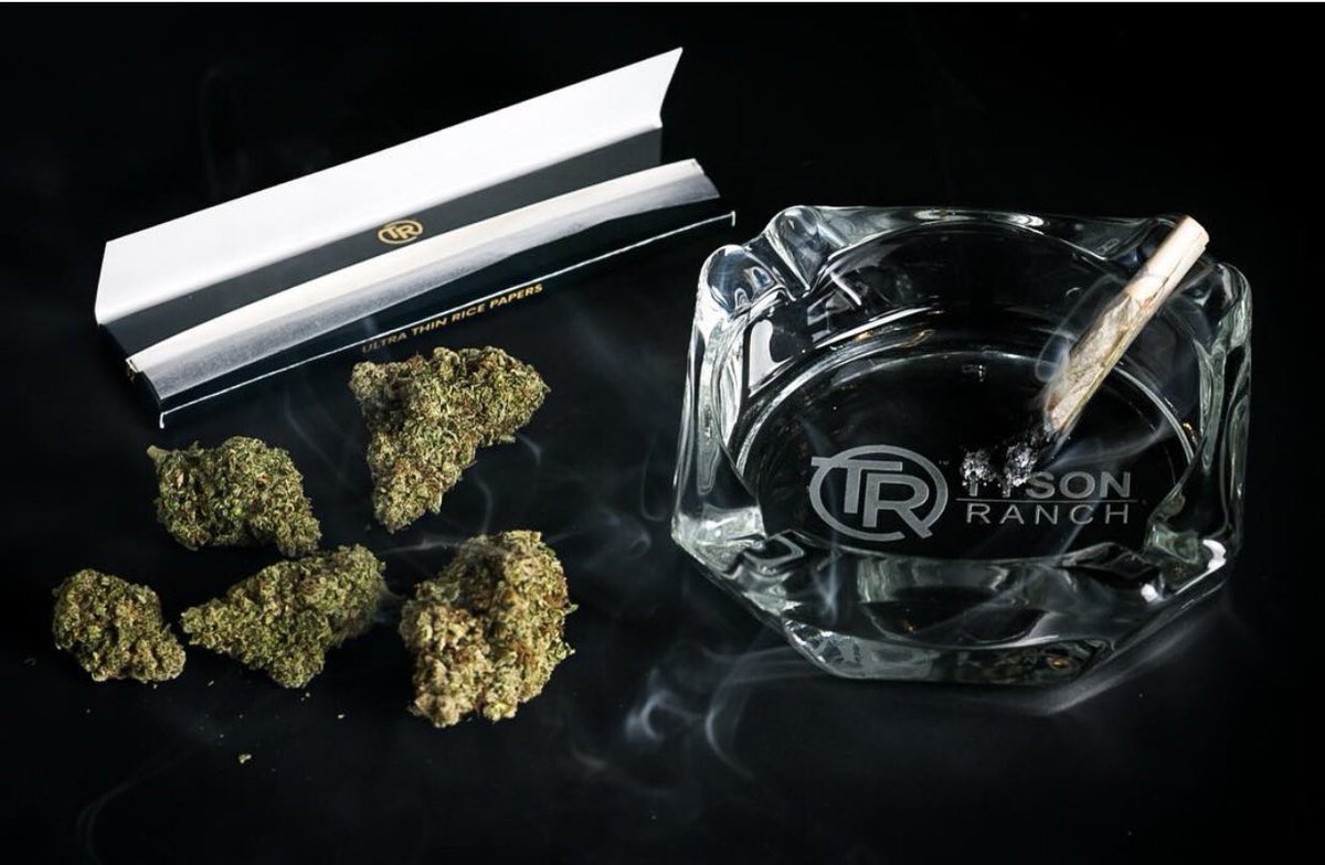 tyson_ranch's tweet photo. Tyson Ranch Toads #420friendly #miketysontheknockout #smokers #tysonranch #cannabiscommunity #thc #WeedLovers https://t.co/wIF9bRn52p