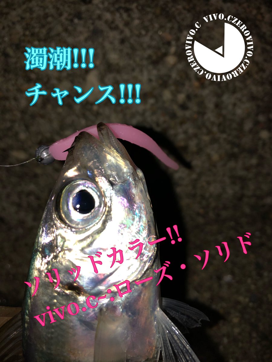 Vivo Czero Czerovivo Twitter