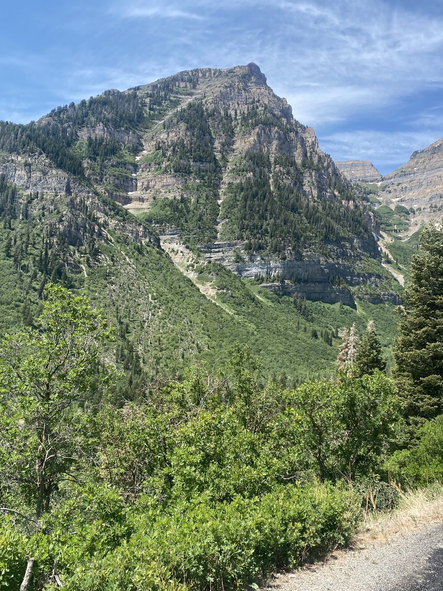 Samcuddeback's tweet image. When cycling defies heat and exposes grand spectacles. ##AlpineLoop #WasatchMountains