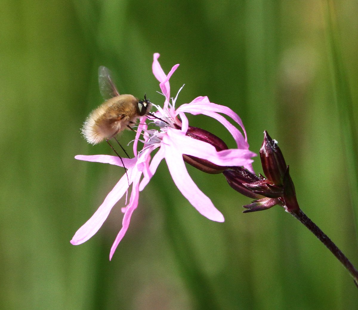 Tom Brereton tweet media