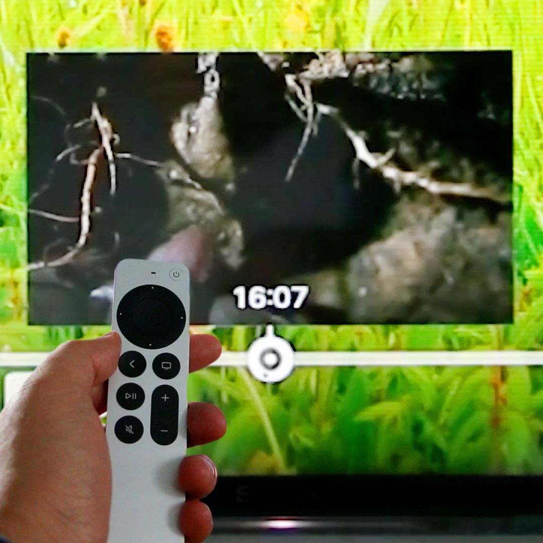 apllcs's tweet image. The jog wheel feature is an initial part of the Siri remote. Here&apos;s a simple guide to help you in using this remote.

Click the link below and watch our short video.
youtu.be/HZ8RZqQ3s0E

#JogWheelTips #JogWheelGuide
#AppleTV4K #AppleTV4KRemote