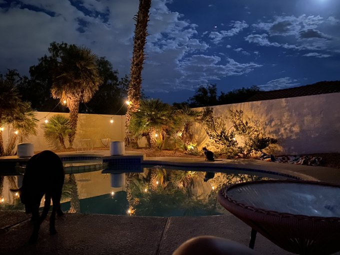 Night time hangs https://t.co/zbN0qZ7Lus<a href="/tag/onmfc"class="tags"><span>#onmfc</span></a>