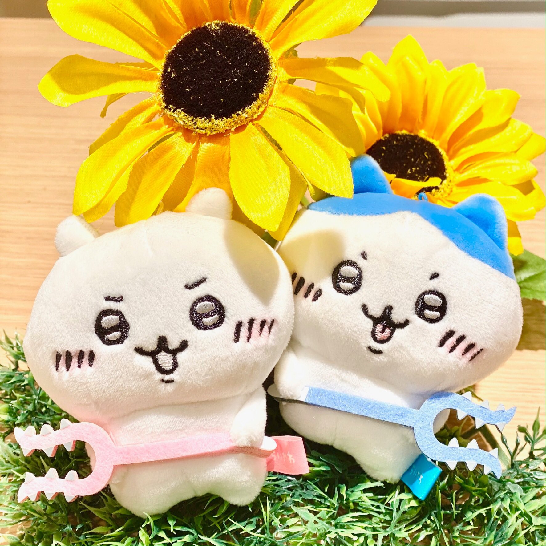 ちいかわグッズ公式 on X: ちいかわグッズ公式 on X: