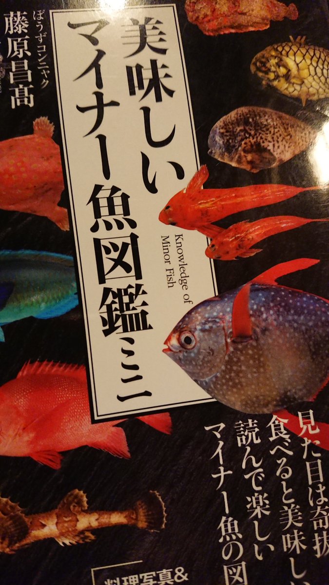 美味しいマイナー魚図鑑 のtwitter検索結果 Yahoo リアルタイム検索 美味しいマイナー魚図鑑 のtwitter検索結果 Yahoo リアルタイム検索