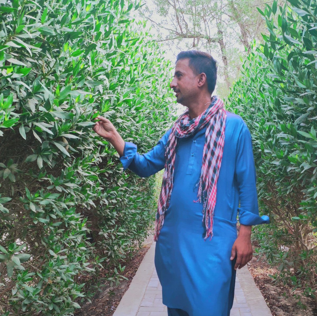 RustmaniWaris's tweet image. #NewProfilePic