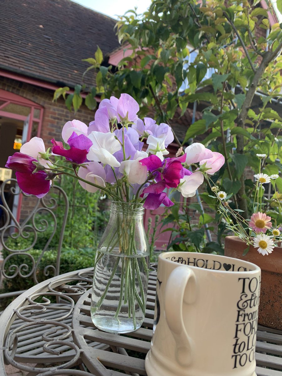 RaesGarden's tweet photo. The rewards of 5am gardening #sweetpeas #morningcoffee https://t.co/fkw4RvWAyN