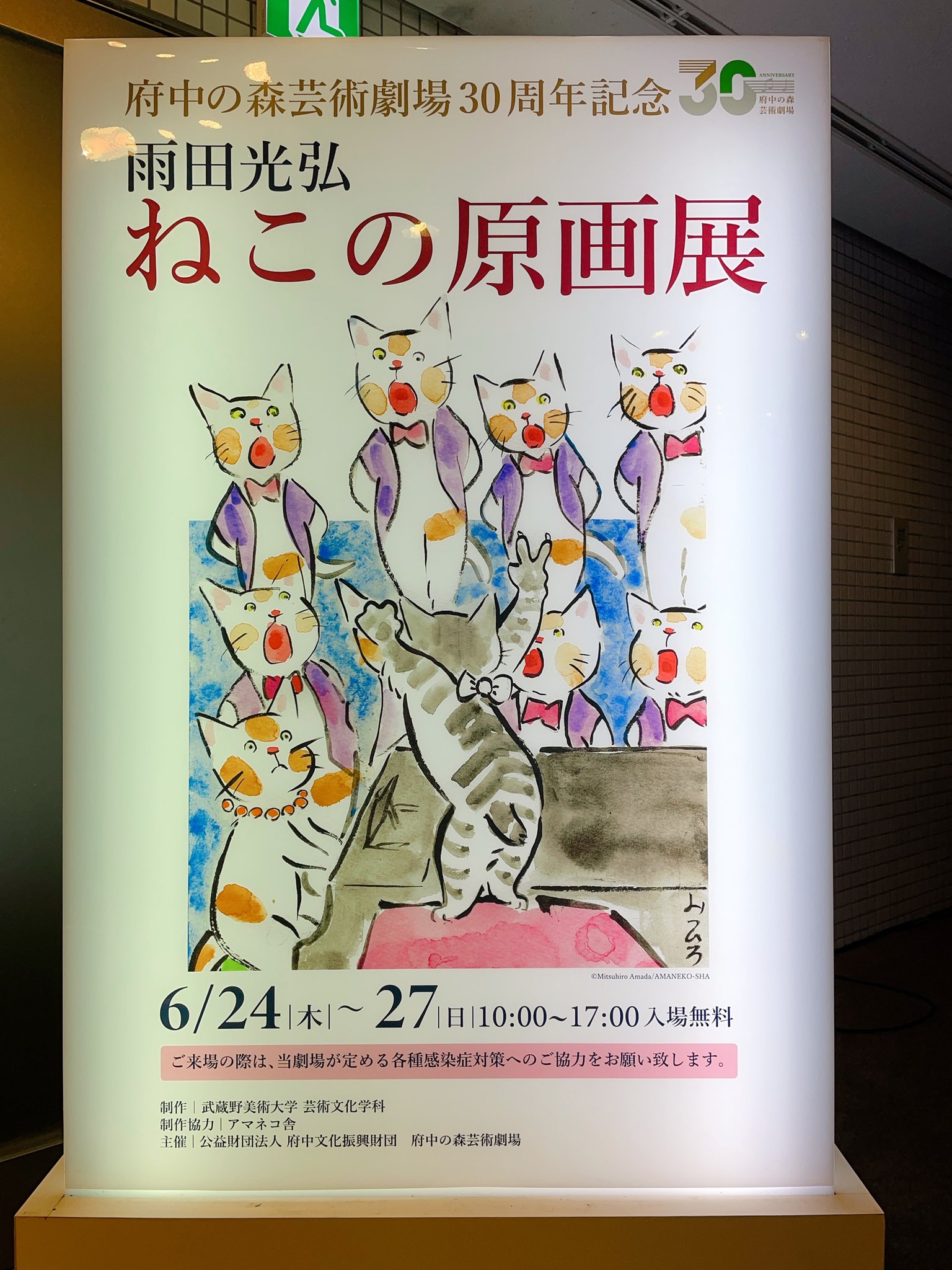 北嶋 勇佑 | Yūsuke Kitajima on X: 