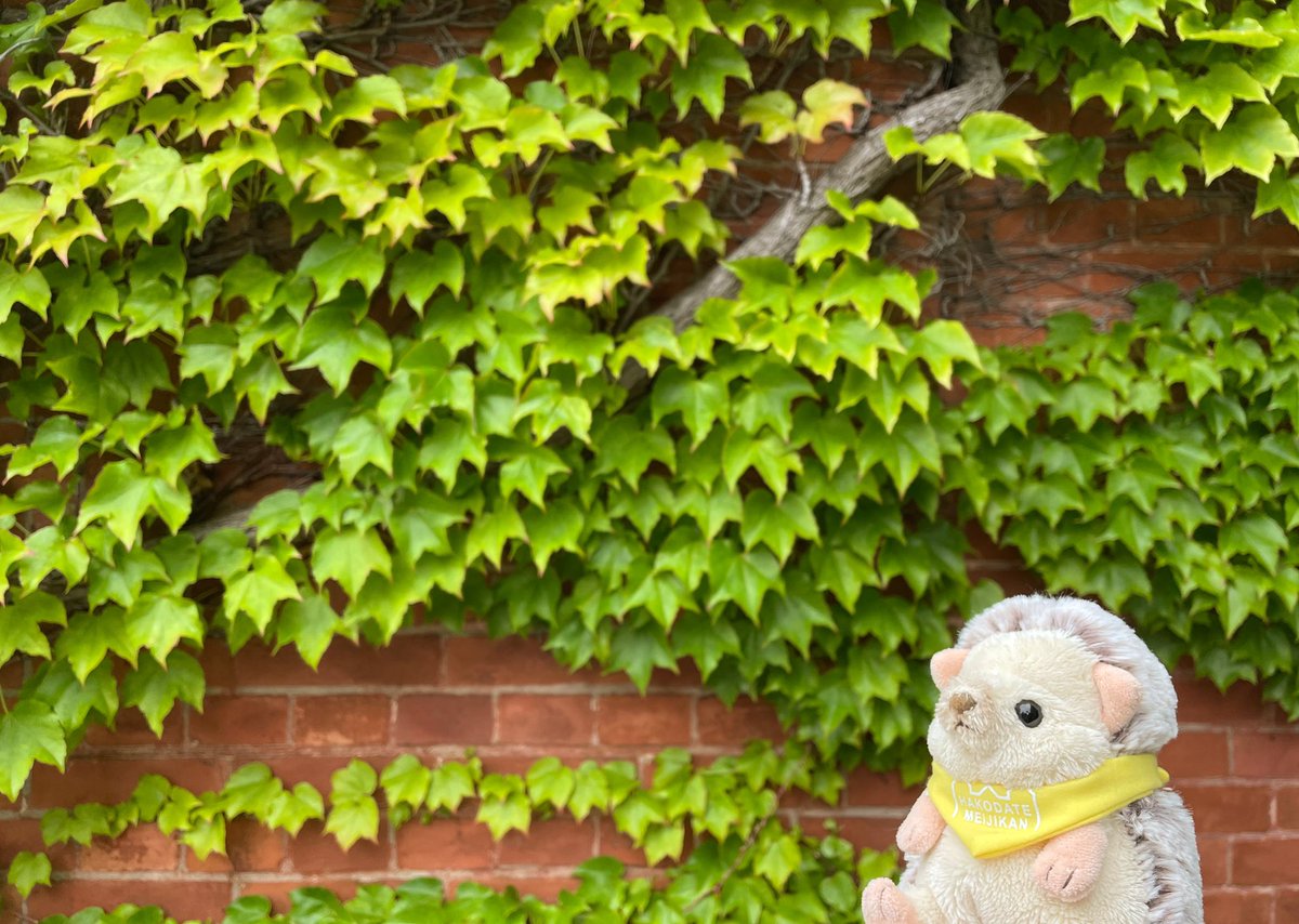 はこだて明治館 公式 Meijikan Twitter