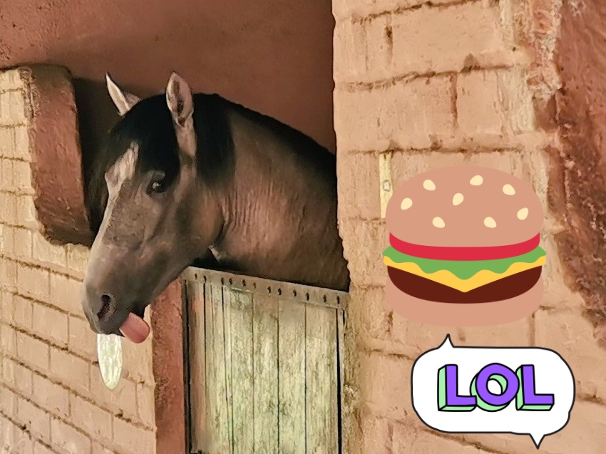 DelvalSofi tweet picture