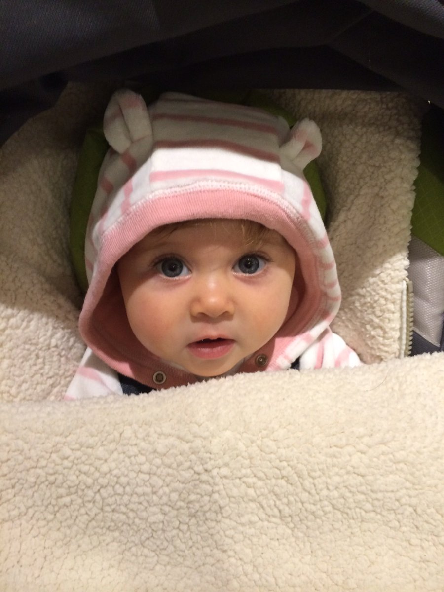 Cristina Vildostegui tweet media