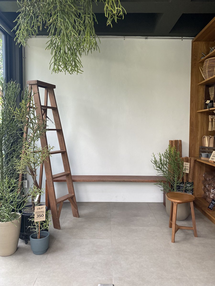 foodismth's tweet photo. Planet planter พุทธมณฑลสาย2 เปิดวันศุกร์-อาทิตย์ นะช่วงนี้ ลองเช็คก่อนไป 🥰🌿🌳 มูดดีมากกก อบอุ่นสุดๆ ใครสายรักการปลูกต้นไม้ ลองไปดูไอเดียต่างๆ การจัดวางคือเริดเต็ม10 มีขายอุปกรณ์ ขายต้นไม้ด้วย ชอบมากเลยอะไปแล้วไม่อยากกลับ 👏🏼💕 @aroii https://t.co/kxYP6ctn9m