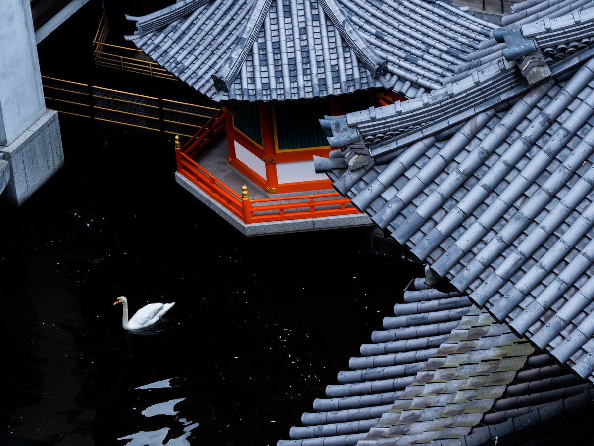 ট ইট র Mkタクシー 京都の中心といわれ へそ石 のある頂法寺 六角堂 はいけばなの発祥の地です さらに 境内にはハト 裏手には白鳥 木の上にはふくろう の置物 4枚目 がいます 21 6 18 ドライバー 撮影