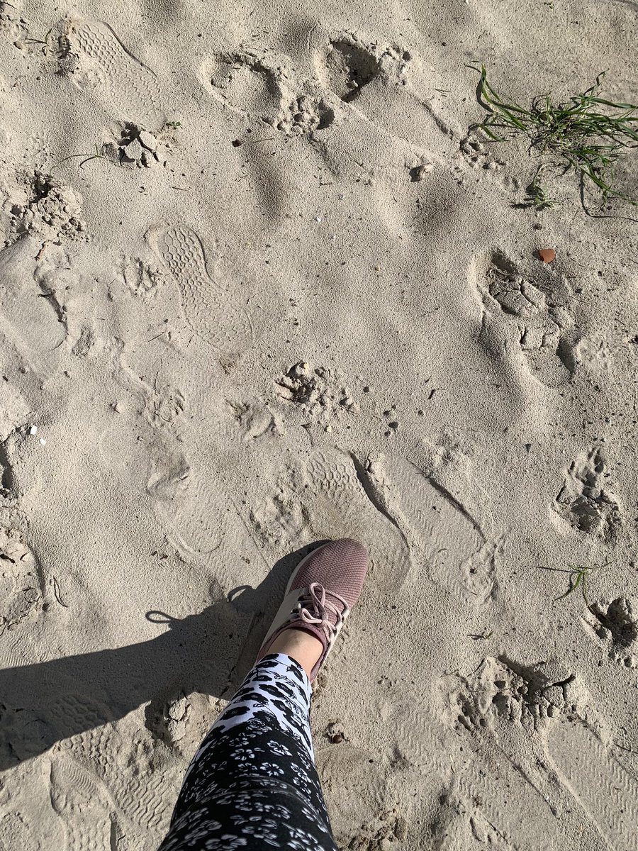 MMG9898's tweet photo. A beautiful winter day. Run number 12 #MichelleRuns #QuinnsRocks #Australia   #KeepITfit https://t.co/gwg3EqYoBR