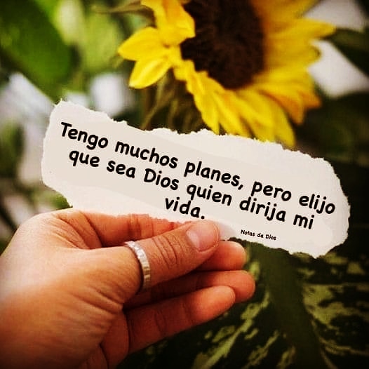heraldoscr's tweet photo. Buenas Noches herman@s!!! ... Bendiabrazos!!! https://t.co/wMUJx3iFzy