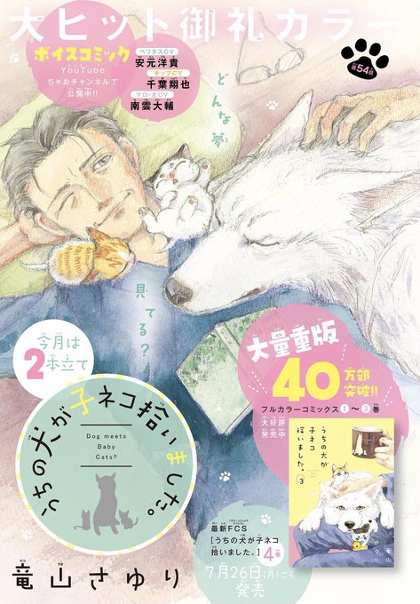 竜山さゆりさん がハッシュタグ うちの犬が子ネコ拾いました をつけたツイート一覧 1 Whotwi グラフィカルtwitter分析 竜山さゆりさん がハッシュタグ うちの犬が子ネコ拾いました をつけたツイート一覧 1 Whotwi グラフィカルtwitter分析