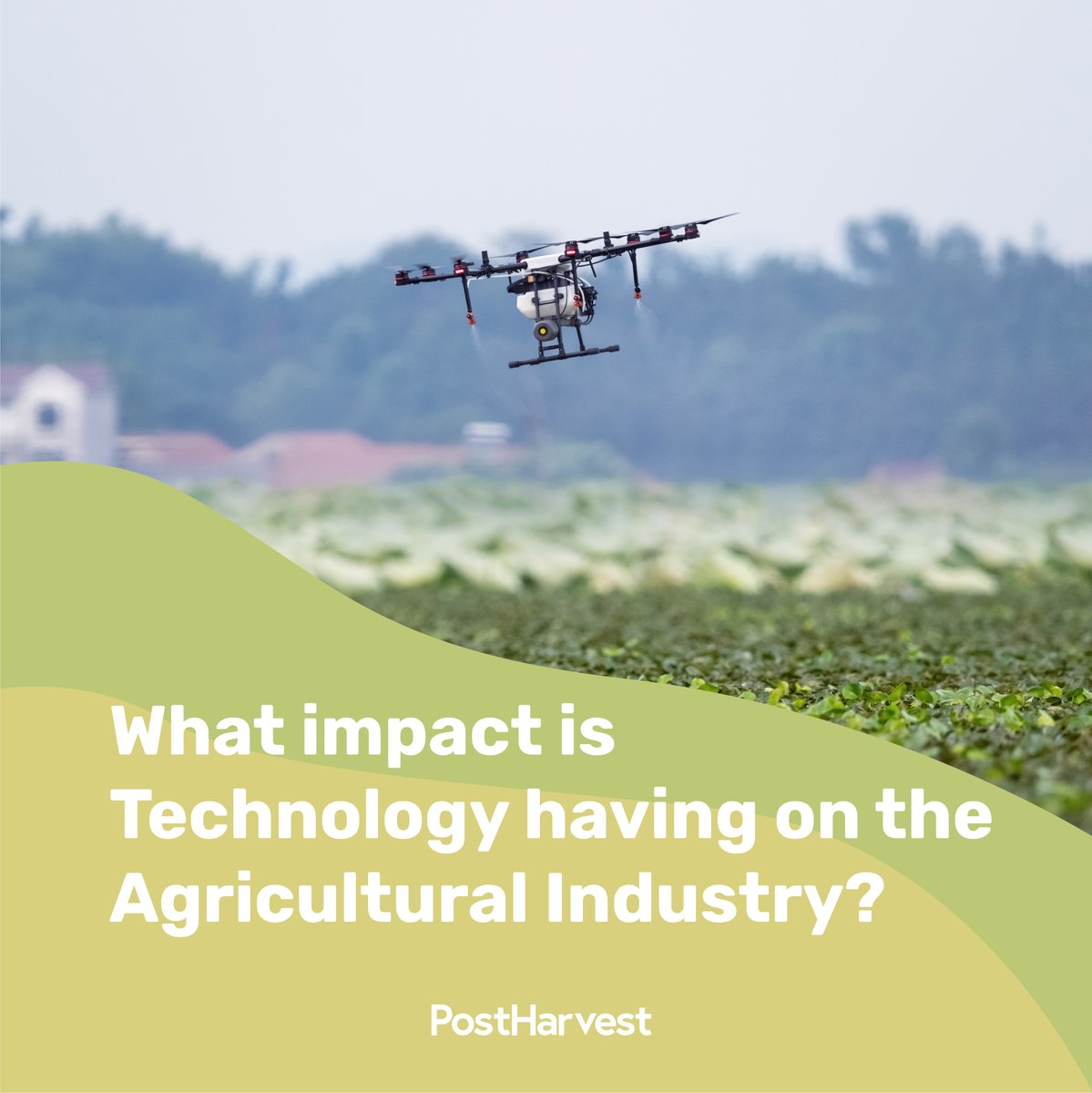 PostHarvest_'s tweet photo. It is undeniable that there has been a technological evolution across Agribusiness in more recent years.

If you'd like to read more about this topic and many more, check out the articles page on our website.

Link in Bio:

#agtech #agriculture #agritech #farming #innovation https://t.co/xFFGQRQIne