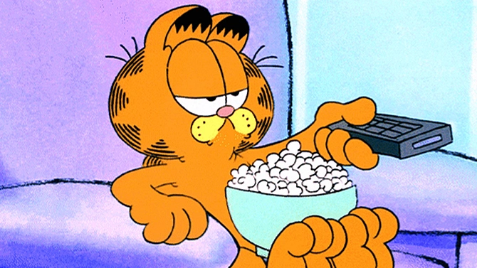 cat_otd's tweet photo. Today's cat character of the day is Garfield from..Garfield! https://t.co/tFZsHcRFxt