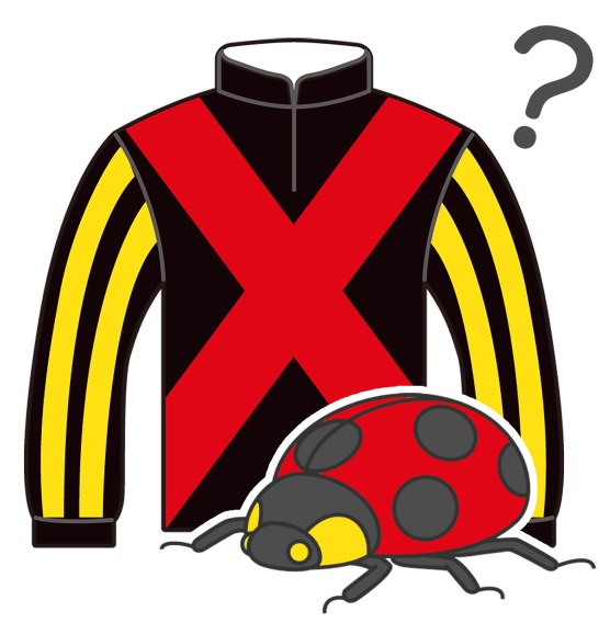 おうまピスピース エアグルーヴがテントウムシ好きという設定 もしかしたら自身の子供や孫 弟などの多くがサンデーレーシングの勝負 服で走ったからでは と推測 サンデーレーシングの勝負服カラー テントウムシっぽいので T Co Lge0uvujsu