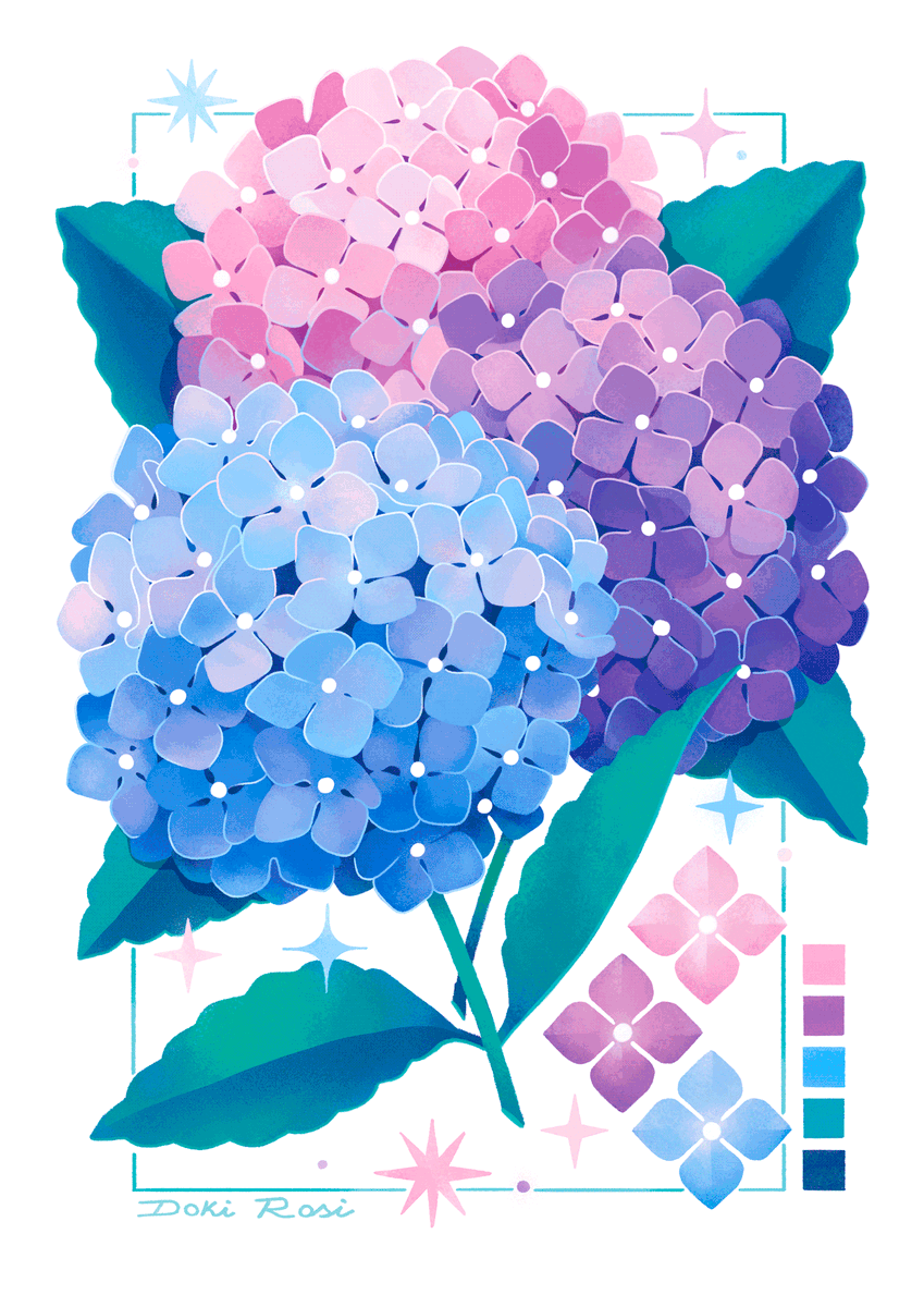 dokirosi's tweet photo. It's hydrangeas season ❤️💜💙 https://t.co/bah40uPSRG