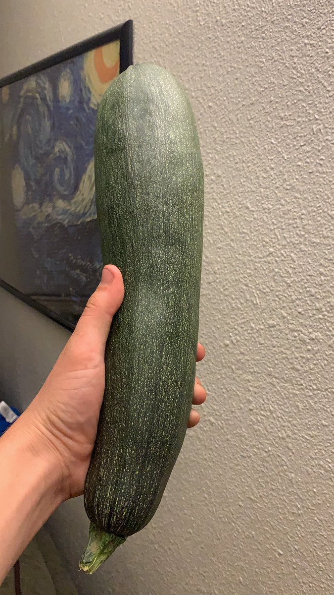 Update: we have 4 HUGE zucchini already.

Also, we’re trying to establish some manner of organization. Sorry for not posting online. It has been difficult lately. Love, y’all. 🖤