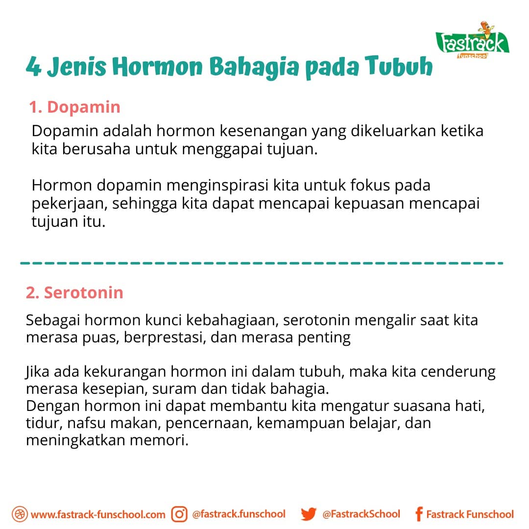 FastrackSchool's tweet photo. Jaga imun dengan membangkitkan rasa bahagia. Kenali 4 hormon bahagia yg bisa diproduksi tubuh. Mari saling jaga, lindungi keluarga dan orang-orang disekeliling kita 

#fastrackfunschool 
#earlychildhoodeducation 
#paudjogja
#paudterbaik
#cegahcovid https://t.co/z7bDK82WQI