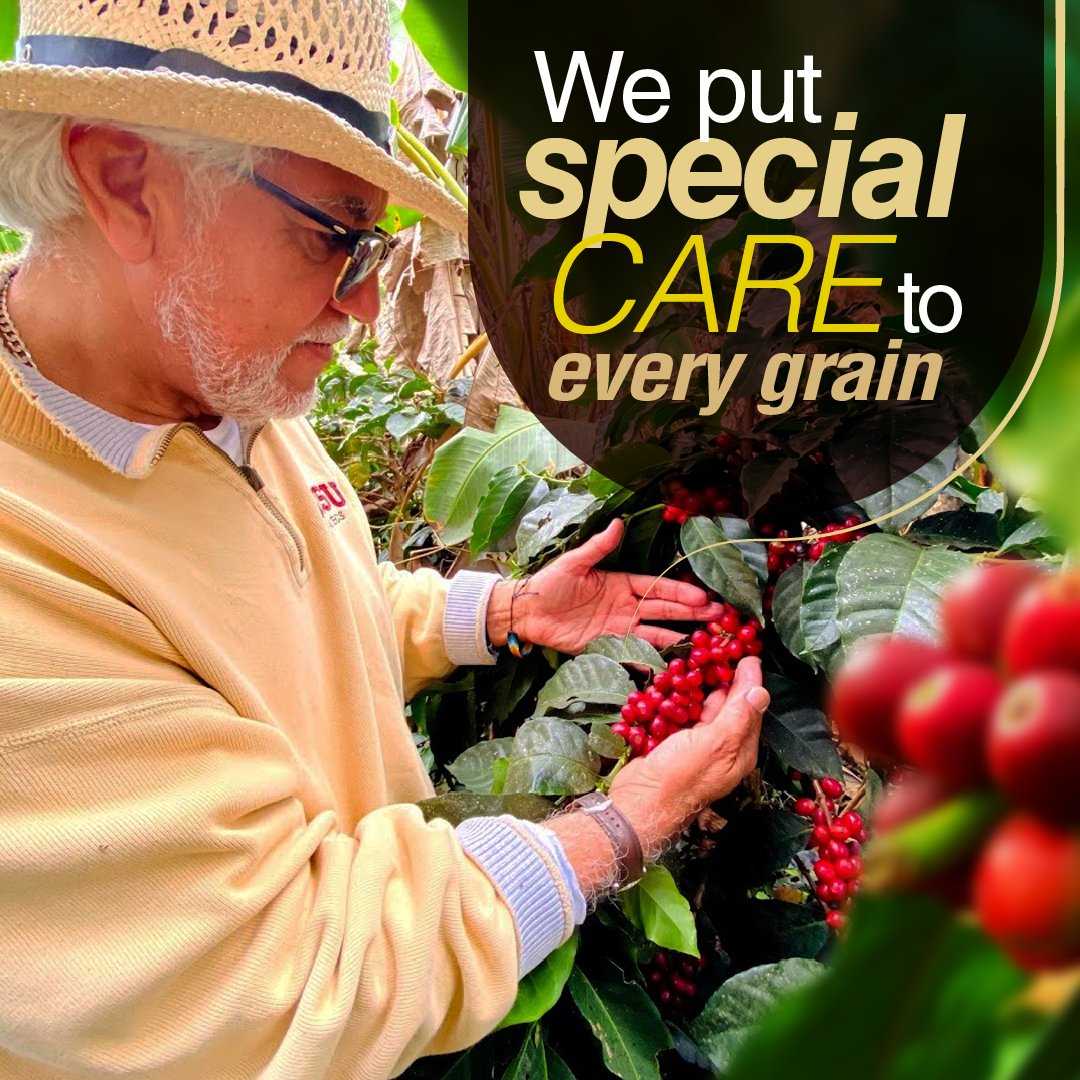 ColombianLlc's tweet photo. At JCC we put special attention to every grain to get into our coffee the best.

Visit us at https://t.co/dwRGhFSVsF and give us the chance to bring to your table our coffee craft.

#coffeecraft #coffeegrowers #coffeetime
#justcolombiancoffee #arabicacoffee #coffeeshop https://t.co/CZEEjKd7Vx