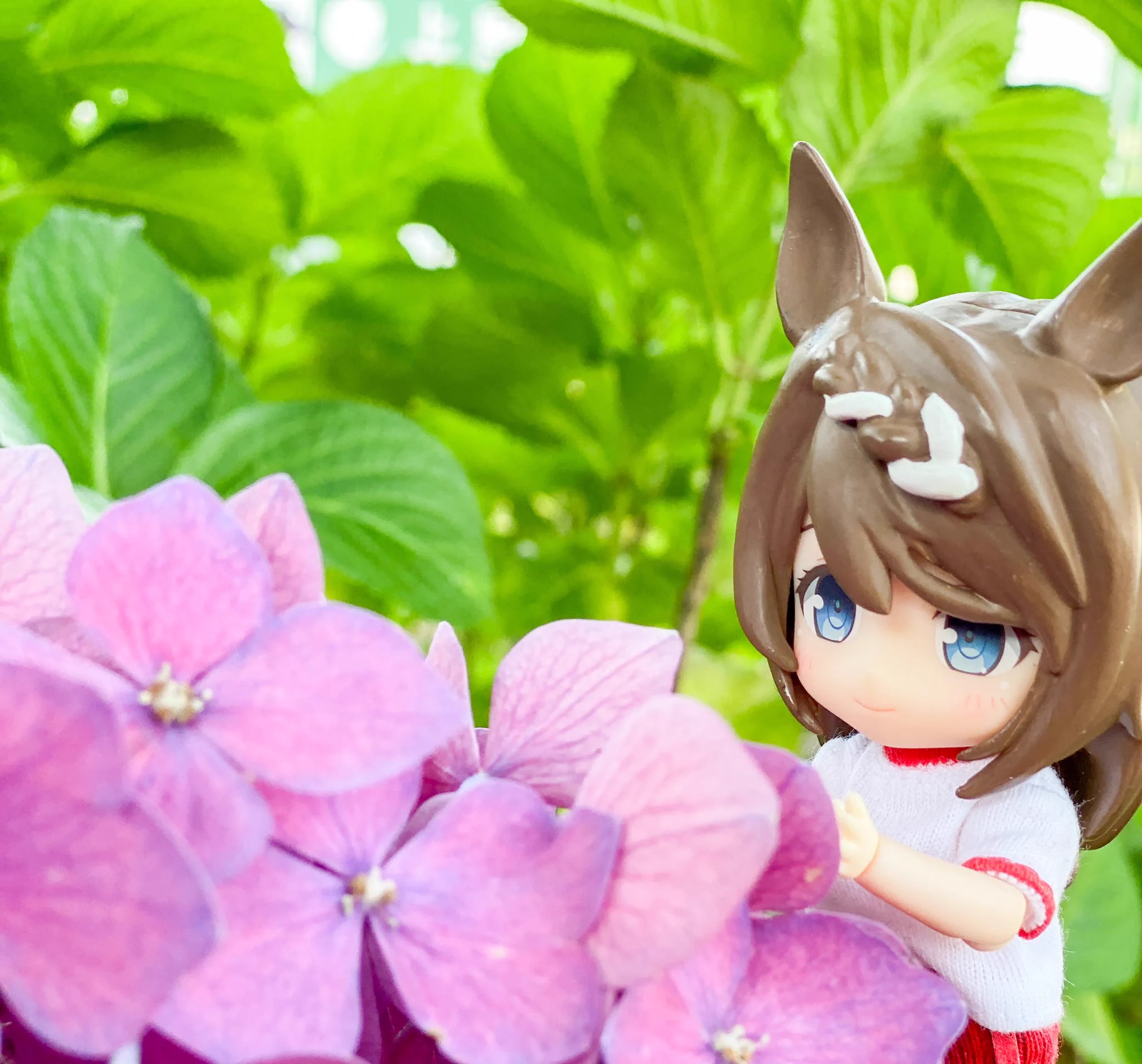 紫陽花の花言葉・・・
クリークにぴったり！！！
#スーパークリーク
#ウマ娘  