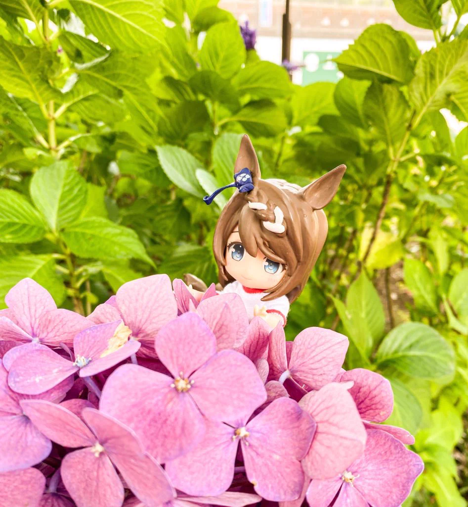 紫陽花の花言葉・・・
クリークにぴったり！！！
#スーパークリーク
#ウマ娘  