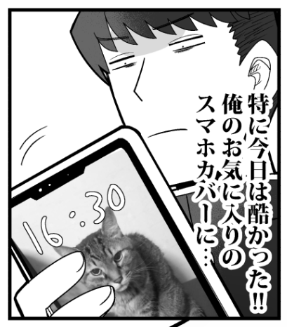 実家の猫です 